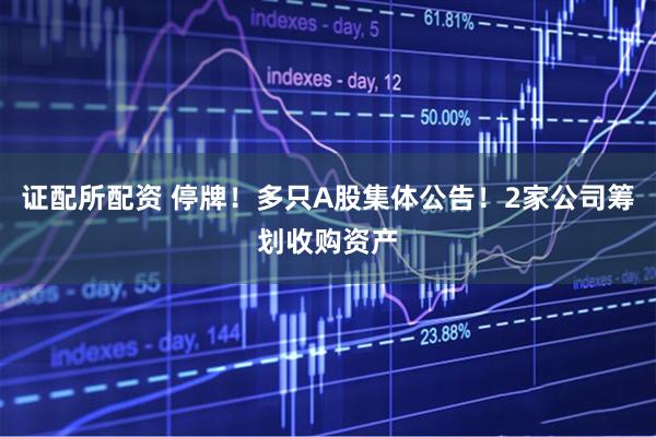 证配所配资 停牌！多只A股集体公告！2家公司筹划收购资产