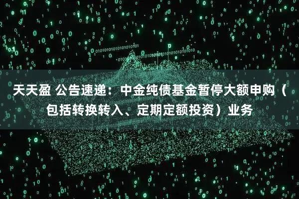 天天盈 公告速递：中金纯债基金暂停大额申购（包括转换转入、定期定额投资）业务